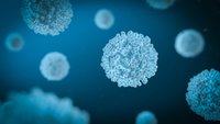 Corona, Coronavirus, Virus